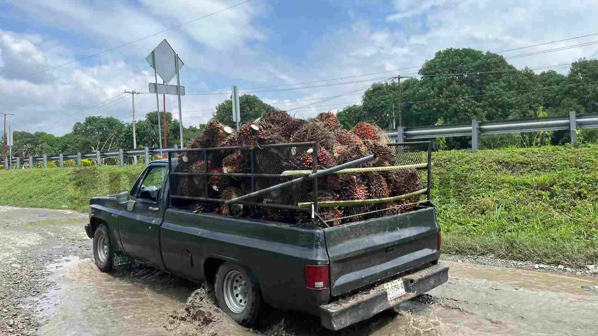 camioneta con pencas de palma de aceite